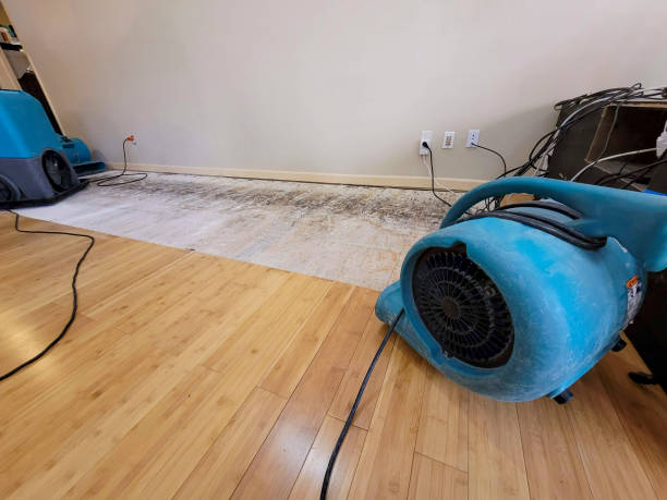 Professional Flood Damage Cleanup technician working in Carrollton, MO